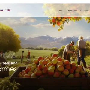 هلدینگ صادرات ارشان