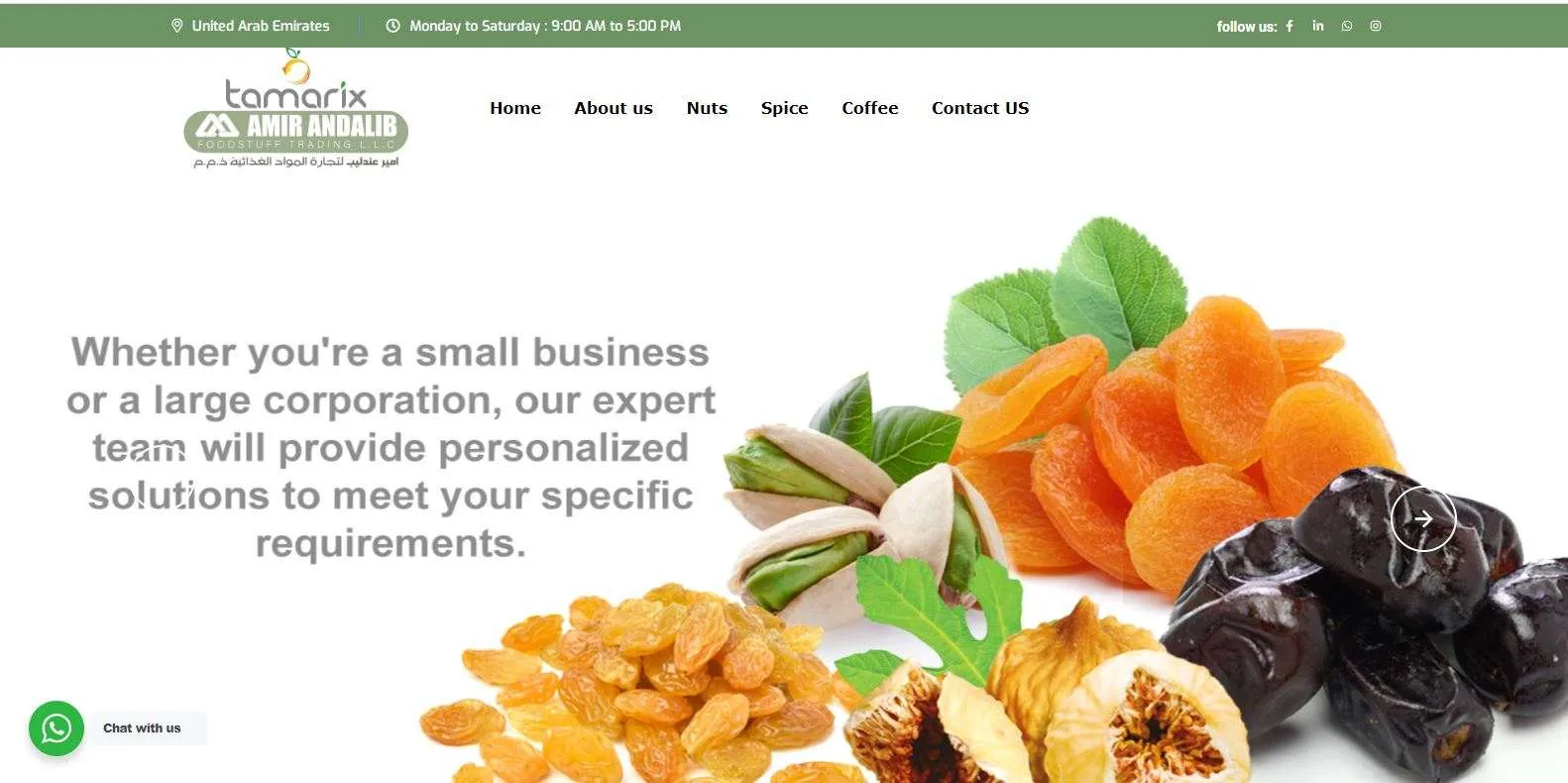 هلدینگ امیر عندلیب